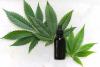 Scientists Discover New Cannabis Compound With ‘Remarkable Antioxidant And Skin Anti-Inflammatory’ Benefits