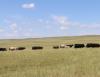 Agriculture Land Lease Workshop scheduled in Chadron