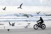 Tropical Storm Imelda, Hurricane Humberto threaten Bahamas, Bermuda