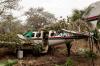 Leaked Emails Reveal ‘Air Bridge’ of Drug Flights from Venezuela to Belize