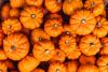 Michigan’s ‘favorite’ pumpkin food is a head scratcher