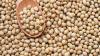 China snaffles up Argentine soybeans during tax freeze