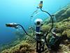 High-tech tool helps scientists identify coral reef fish by sound