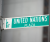 The United Nations Poised To Recognize Cannabis Culture
