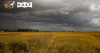 Arkansas rice farmers face crisis as prices drop, costs rise