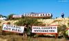 Songbird trapping in Cyprus: a growing national and environmental crisis