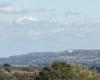 Lifestyle The Guardian Country diary: The red cross on the white horse is gone. For that we are thankful