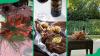 Top 16 restaurants in Paarl for every food lover in 2025