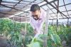 ‘Agriculture is an engine of a resilient future for Guyana’