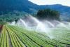 Minister: Only 11–12% of Azerbaijan’s land is irrigated using modern systems