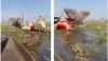 Protective elephant capsizes canoes, injures tourist in Botswana’s Okavango Delta