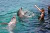 World Travel Awards: Mexico, Peru, Chile stand out in Latin America