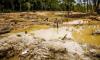 Bills Target Crucitas Gold Mining Mess in Costa Rica