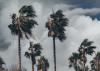 Cyprus: Bank holiday weather