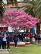 Classically Educated in Ecuador