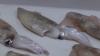 Falkland Islands Loligo squid season closes a week early