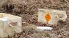 Estonia still lacks laboratory facilities needed for testing explosives