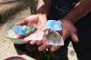 Inside The Booming Multi-Thousand-Dollar Gem Tourism Trend