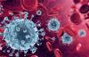 More And More Cases Of Stratus Infestation Are Detected In Belarus