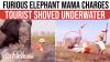 Panic In Botswana: Mama Elephant Charges Canoes, Leaves Tourist GASPING Underwater | VIRAL