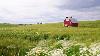 Farm Bill 2025—What’s Next for U.S. Agriculture? 