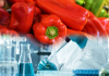 Pesticide Residues Above Limit: Slovenia Blocks Shipment of Peppers from Albania