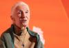 Wildlife advocate and primate expert Jane Goodall dies at 91