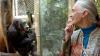 Primatologist Jane Goodall dies at age of 91