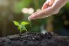 BIC Group: Building Cambodia’s corporate future through ESG