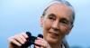 Jane Goodall, primatologist and global activist, dies aged 91