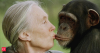 Jane Goodall, wildlife advocate and chimpanzee expert, dies at 91: all about her career, net worth, awards and achievements