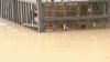 Government shutdown worries flood victims in FEMA Buyout Program