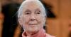 Jane Goodall, wildlife advocate and conservationist, dies at 91