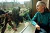 world Wildlife advocate and primate expert Jane Goodall dies at 91