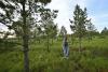 News AFP China's 'Great Green Wall' brings hope but also hardship