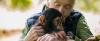 Science ScienceAlert How Jane Goodall Changed Our View of Chimps (And Humans) Forever