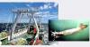 Falklands, “knowledge gap” with the Loligo fishery, environmentally sensitive