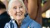 Jane Goodall: the scientist who gave chimps names, not numbers