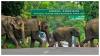 Union Cabinet Approves ₹6,957 Crore NH-715 Widening & Elevated Corridor In Assam To Boost Eco-Tourism, Ensure Wildlife Safety, & Create Jobs