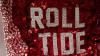 What parents need to see during University of Alabama Family Weekend