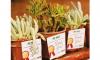School quiz helps fosters environmental literacy