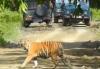 Cabinet nod for Rs 6,957 cr infrastructure project in Assam to boost eco-tourism, jobs: Minister