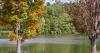 Pennsylvania is nature's classroom: Forests provide colorful lesson on fall foliage