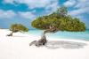 Why Argentines are flocking to Aruba this season