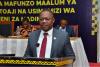 Tanzania streamlines mining licence system, slashes delays, cuts bureaucracy