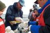 Global warming accelerates multi-system change in arctic river chemistry