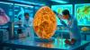 “They Found An Egg Older Than Imagination”: Chinese Scientists Shock Paleontology With 85-Million-Year Discovery Exposing Dinosaur Struggles Against Climate