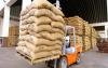 Cameroon cocoa exports surpass oil, cutting trade deficit by 88% in Q1 2025