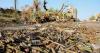 Sudan’s War Is the Shape of Things to Come