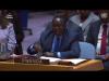 Rwandan envoy says new UN report ‘fails to address’ hate speech, mercenaries in DR Congo
